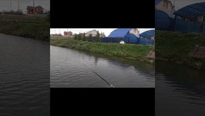 рыбалка на хищника в богословке (клуб Рыбаков.пенза).