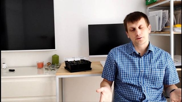 Растительные гормоны. Влияние на растения. Для чего нужны?