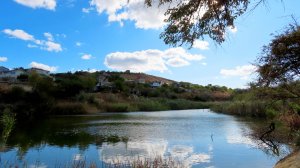 В тишине у красивой воды.