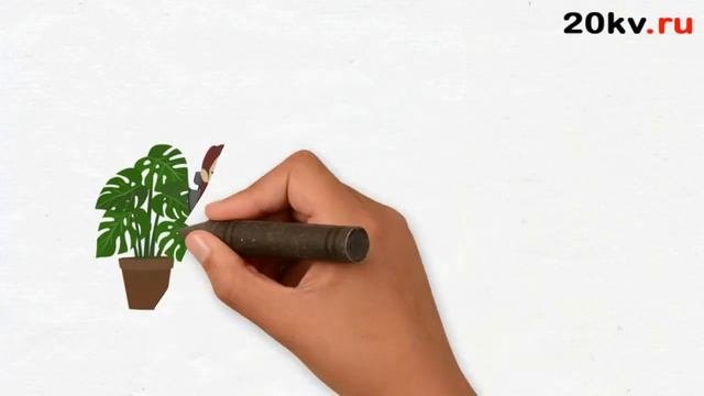 Позвольте представиться