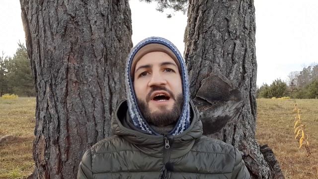 Dive Into Unity Of Unconditional Love смотреть онлайн