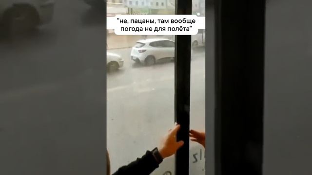 Голуби в такую погоду не летают?