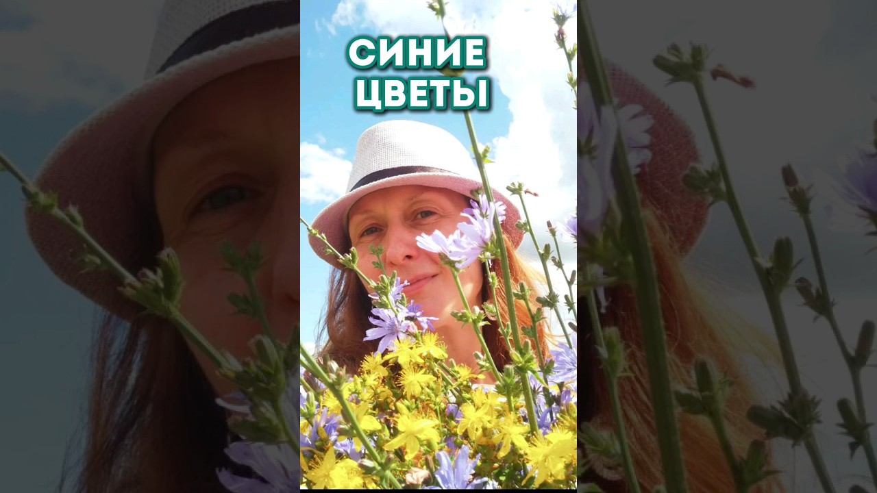 Синие цветы!