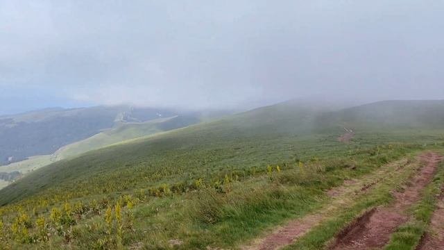 Мајка Србија