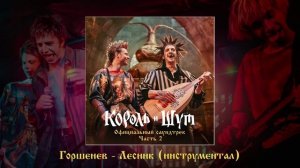 Алексей Горшенёв - Лесник (Инструментал)