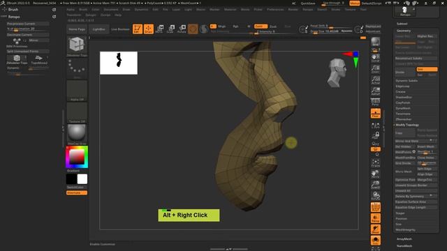 MS3D | ZBrush Course | 008 | Full Retopology of a Head