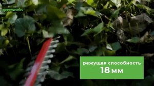 Аккумуляторный Кусторез Greenworks 24V