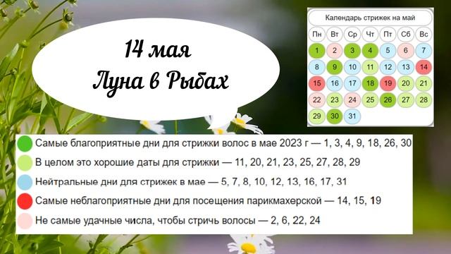 Лунный календарь стрижек на май 2023. Благоприятные дни для стрижки волос в мае 2023