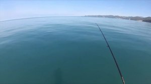 Крутое место для отдыха! Морская рыбалка с сапа, мыс Кадош, август 2022