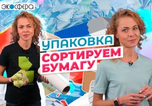 Про утилизацию и переработку бумаги