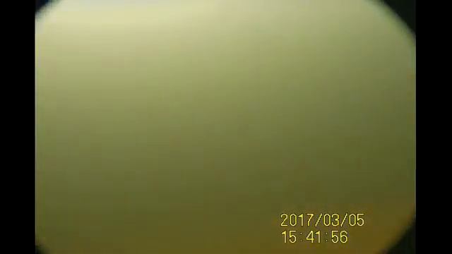 На Каме.  Подводные съемки новой камерой Calypso 05 03 17