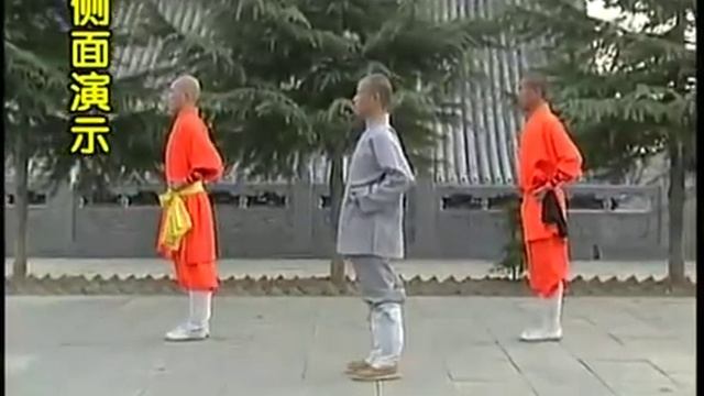 Shaolin Kung Fu basic moves