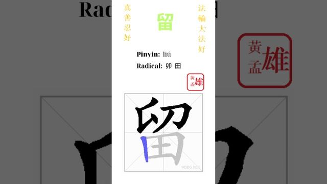 330. 留 | #gohome #cultivation #divine #god #buddha #chinese #enlightened #dafa #qigong смотреть онлайн