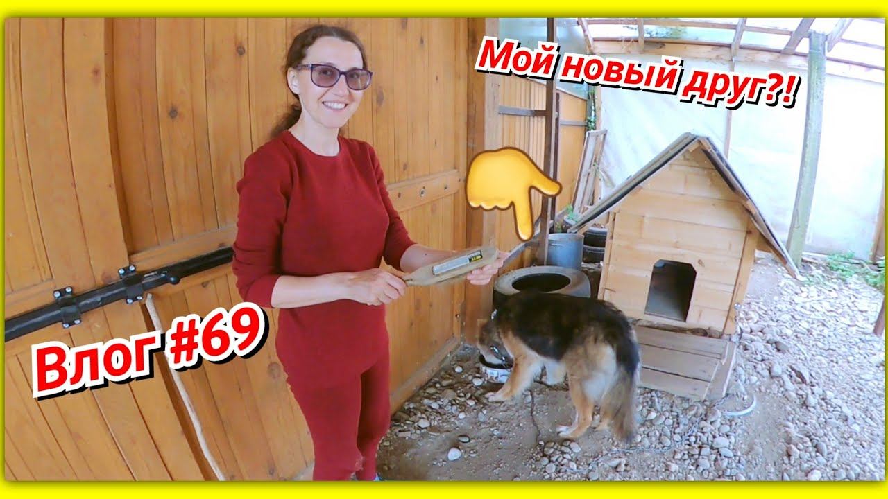 #69 Привет, село! Мой новый друг и обзор дома в аренду смотреть онлайн