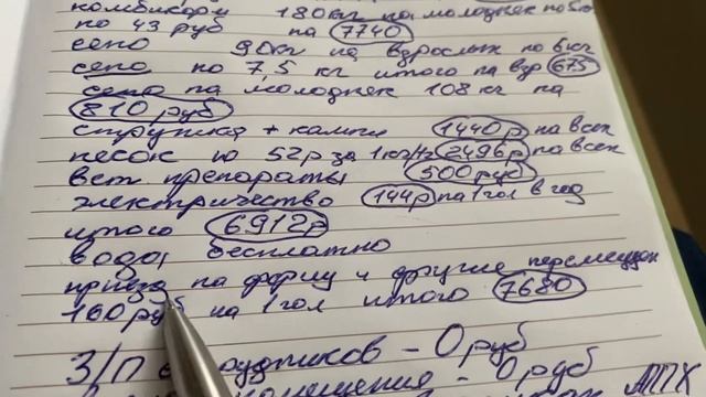МОЙ ЗАРАБОТОК НА ШИНШИЛЛАХ || Шиншилловая ферма || Бизнес на шиншиллах