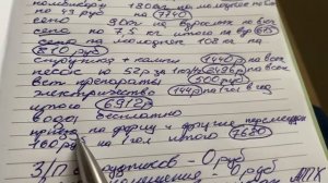 МОЙ ЗАРАБОТОК НА ШИНШИЛЛАХ || Шиншилловая ферма || Бизнес на шиншиллах