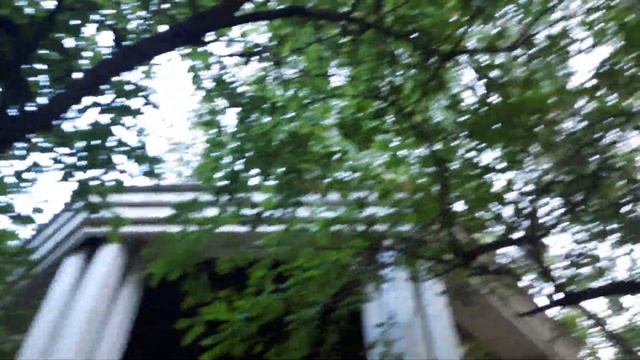 Вот он Малый Чертановский пруд и Чертановская речка 