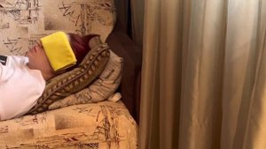 Продолжение изучения альтернативной формы жизни в сеане гипноза с Аркадием Орловым