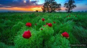 РАХИМБЕРДИ ДОМЛА РАХМОНОВ. АЁЛЛАР ХАКИДА АЛЛОХДАН КУРКИНГЛАР!