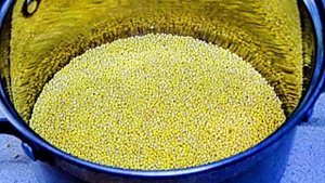 Пшённая каша на воде