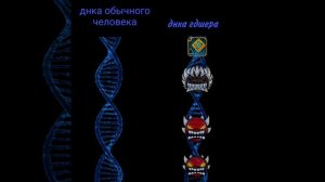 мем про гд