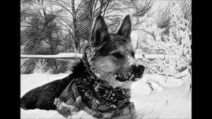 Рассказ ночного сторожа.