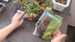 ДИАТОМИТ! Что это? Пробовали?