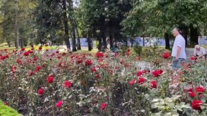 ЖКХ - посвящение работникам жилищно-коммунального хозяйства. С праздником! Александр Косенков