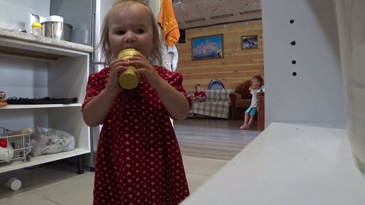 СПАСАЕМСЯ ОТ НАСЕКОМЫХ!/СНЯЛИ ШВЫ!✂/ИНТЕРЕСНЫЕ КНИГИ!/Семья Жуковых смотреть онлайн