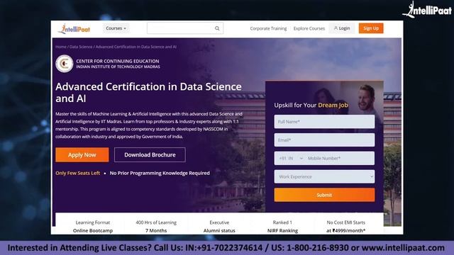 Python Career Path | Python for Different Job Roles | Python For Beginners | Intellipaat