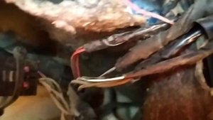 Цвет проводов задних фар и их подключение.