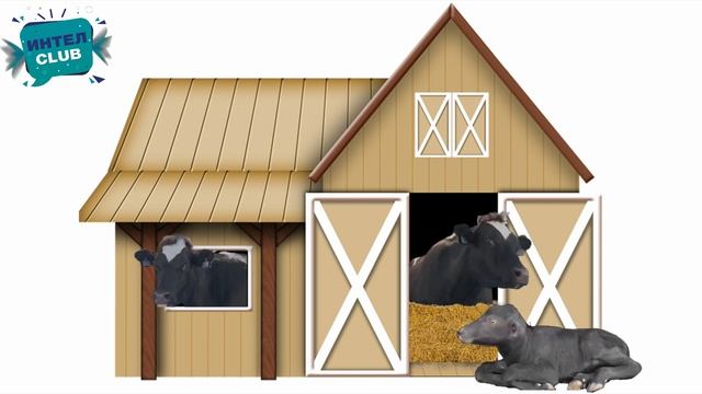 Угадай чей домик? Кто где живет? смотреть онлайн