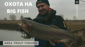 ОХОТА на BIG FISH или ФОРЕЛЬ-МОНСТР! Area Trout Fishing.