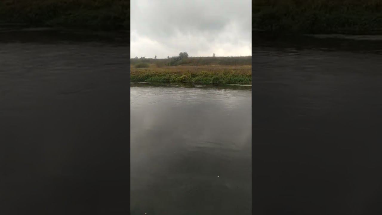 23 сентября 2022 г. смотреть онлайн