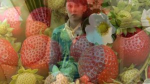 Телепрограмма "Наш Сад" №4. НПО "Сады России"