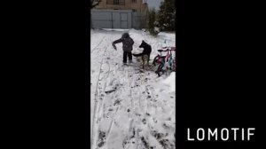 Немецкая овчарка и дети