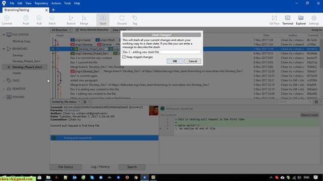 Day7: GIT Stash Changes with SourceTree смотреть онлайн