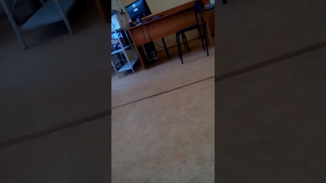 Судебные приставы Омск лагоды 4