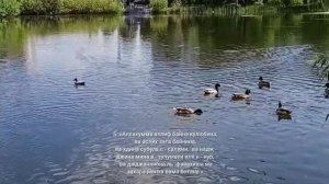 «Шесть дуа для сохранения крепкой и счастливой семьи »