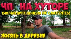 ЧП на хуторе . [Жизнь в деревне]