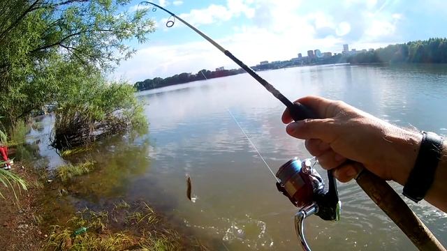 Рыбалка в Новосибирске. Щука на 2 кг. Бугринский мост, р. Обь. смотреть онлайн