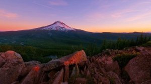 Daniel Kobialka. Singing The Night