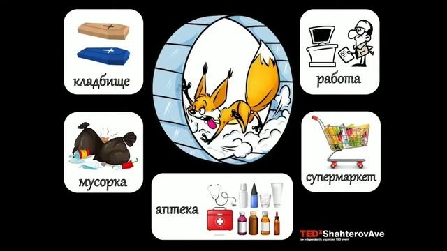 Видеолекция «Сколько стоит наш мусор?» смотреть онлайн