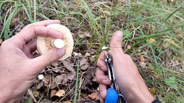 Коп монет без лопаты, первый выезд на Ниве Тревел смотреть онлайн