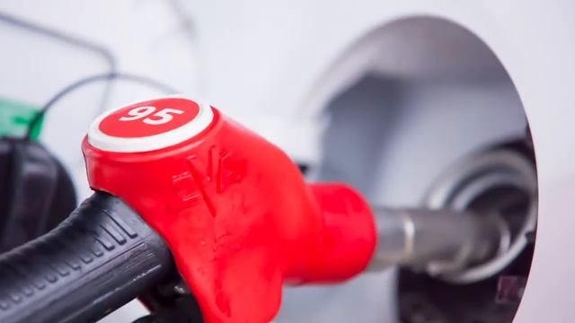 Кондор и мой сын смотреть онлайн