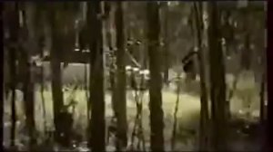 Реклама Toyota Avensis на пике формы 2006