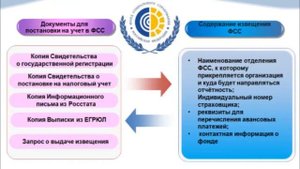 Что делать после регистрации ооо