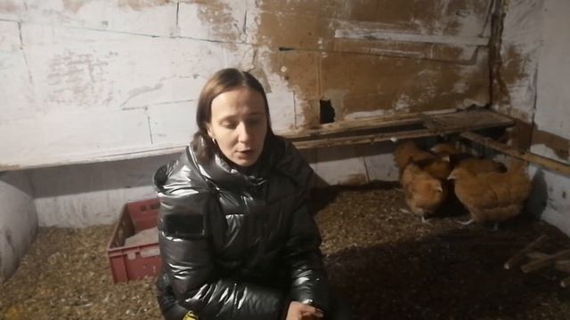 Куры чихают. Причины. Профилактика. Лечение. смотреть онлайн