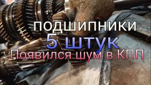 Появился шум в коробке передач. Замена подшипников. 5 штук