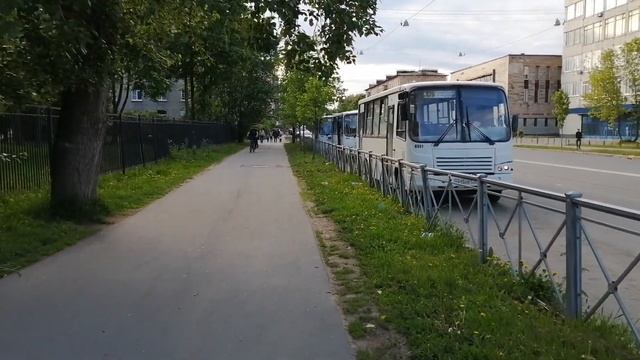 Несу старые книги в парк им. Бабушкина смотреть онлайн